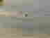 item-133852760=6