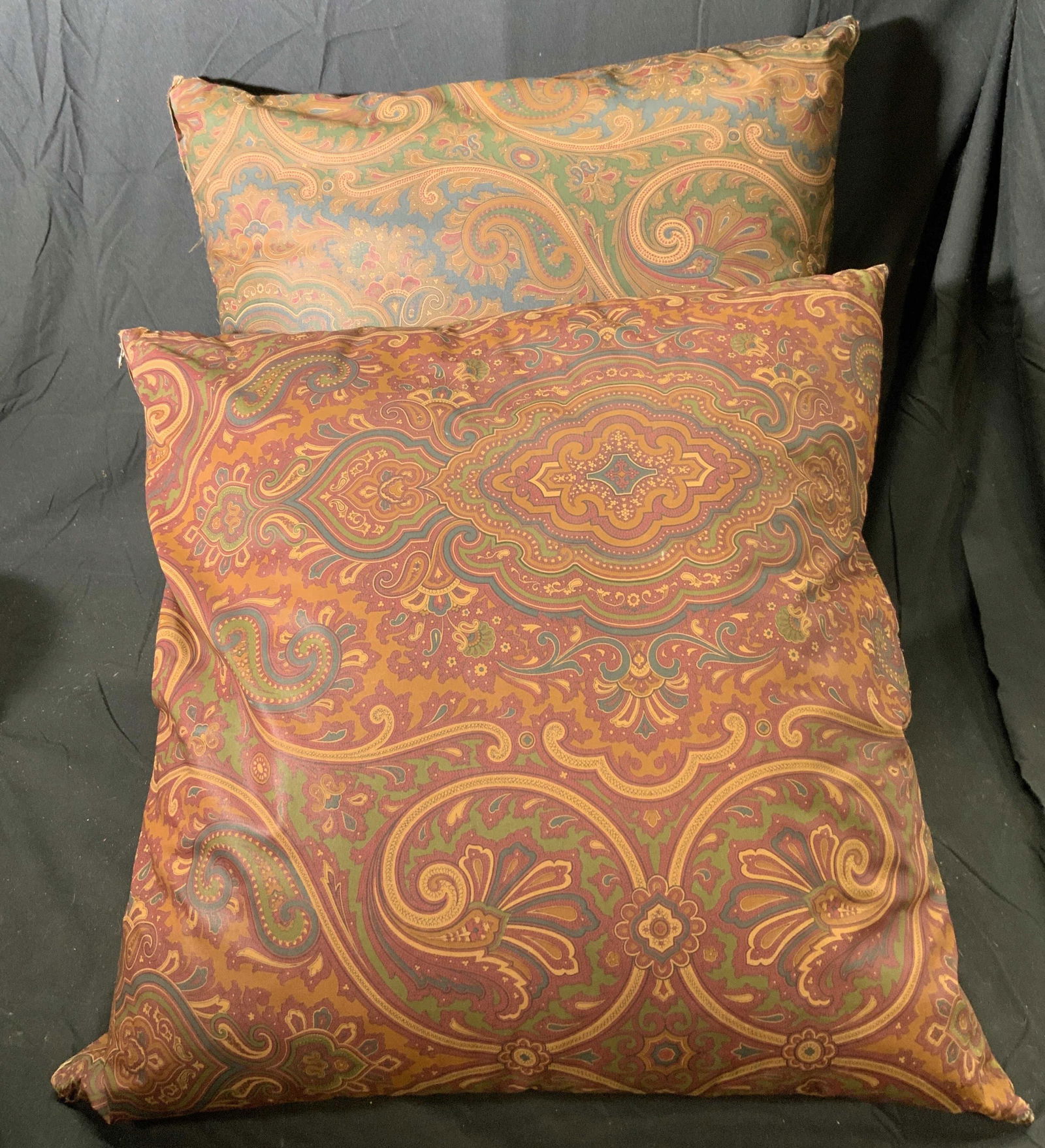 Lot 2 Down Pillows & RALPH LAUREN Pillowcases (1 of 9)