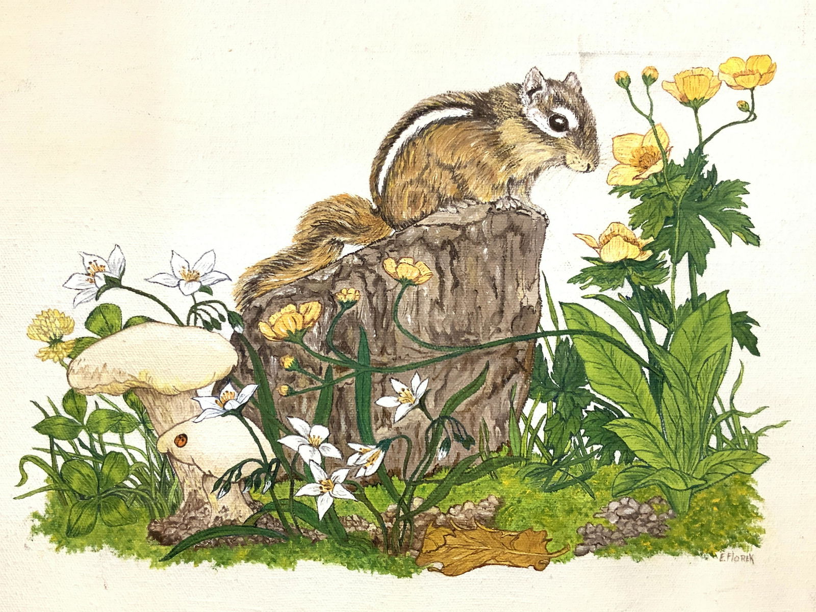 E Florek Signed Acrylic Chipmunk Canvas Painting (1 of 9)
