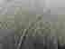 item-134450642=10