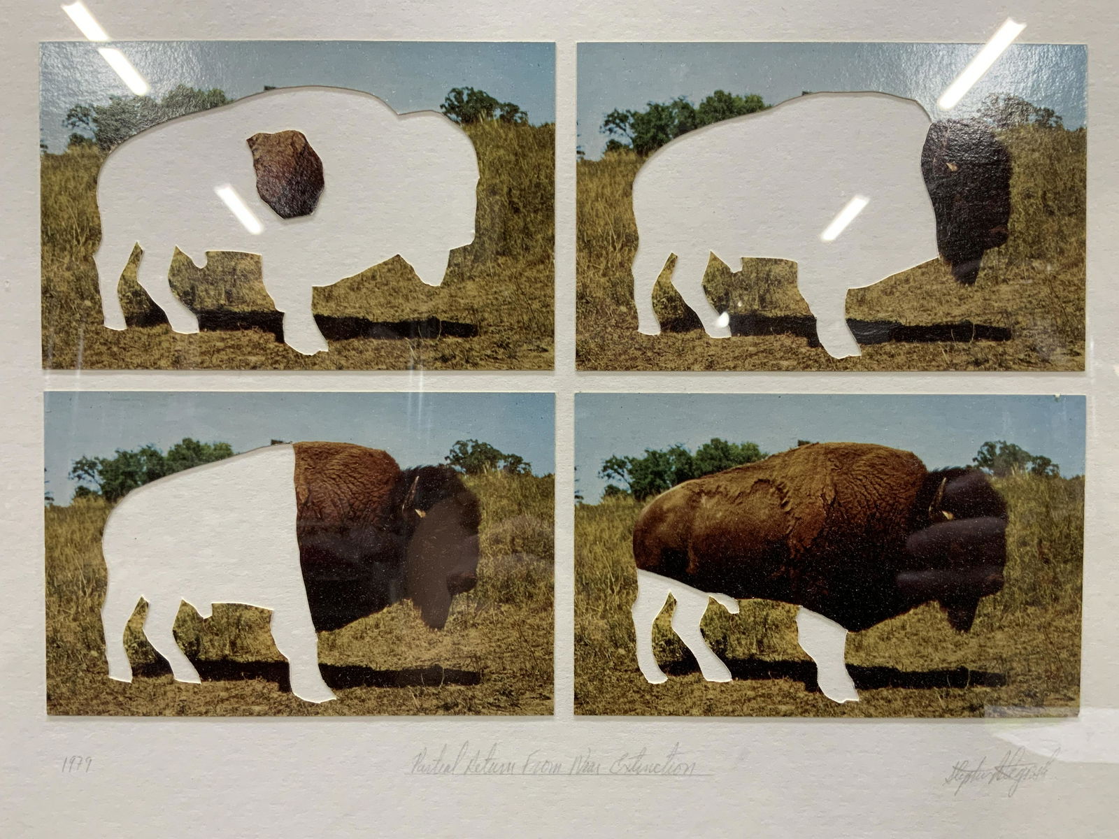 SIGNED Vintage Framed Buffalo Collage (1 of 10)