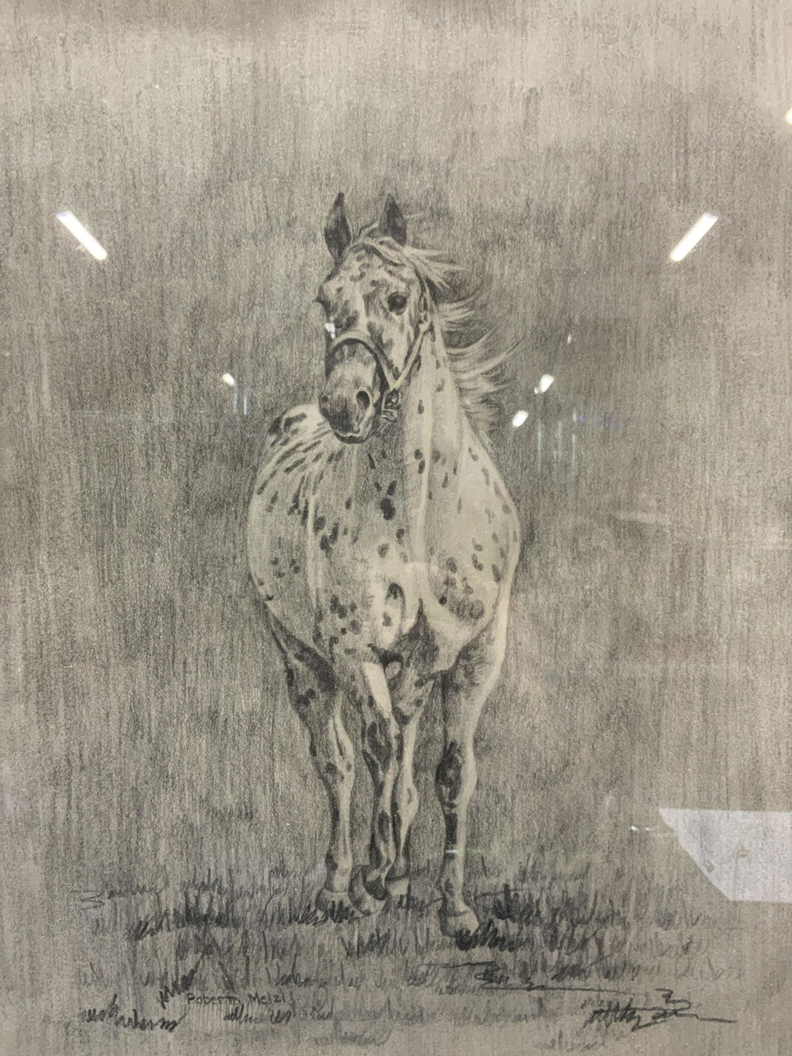 Signed Roberta Melzl Frame Graphite Horse Drawing (1 of 9)