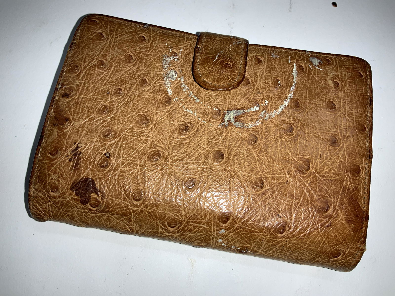 CROSS Sgn Ostrich Leather Photo Wallet: Vintage Leather Photo wallet with multiple compartments to hold 3.5 x 2.5 in photos or other accessories. Signed Cross on exterior, snaps closed. 20 spaces for photos and zig zag and flatten back into