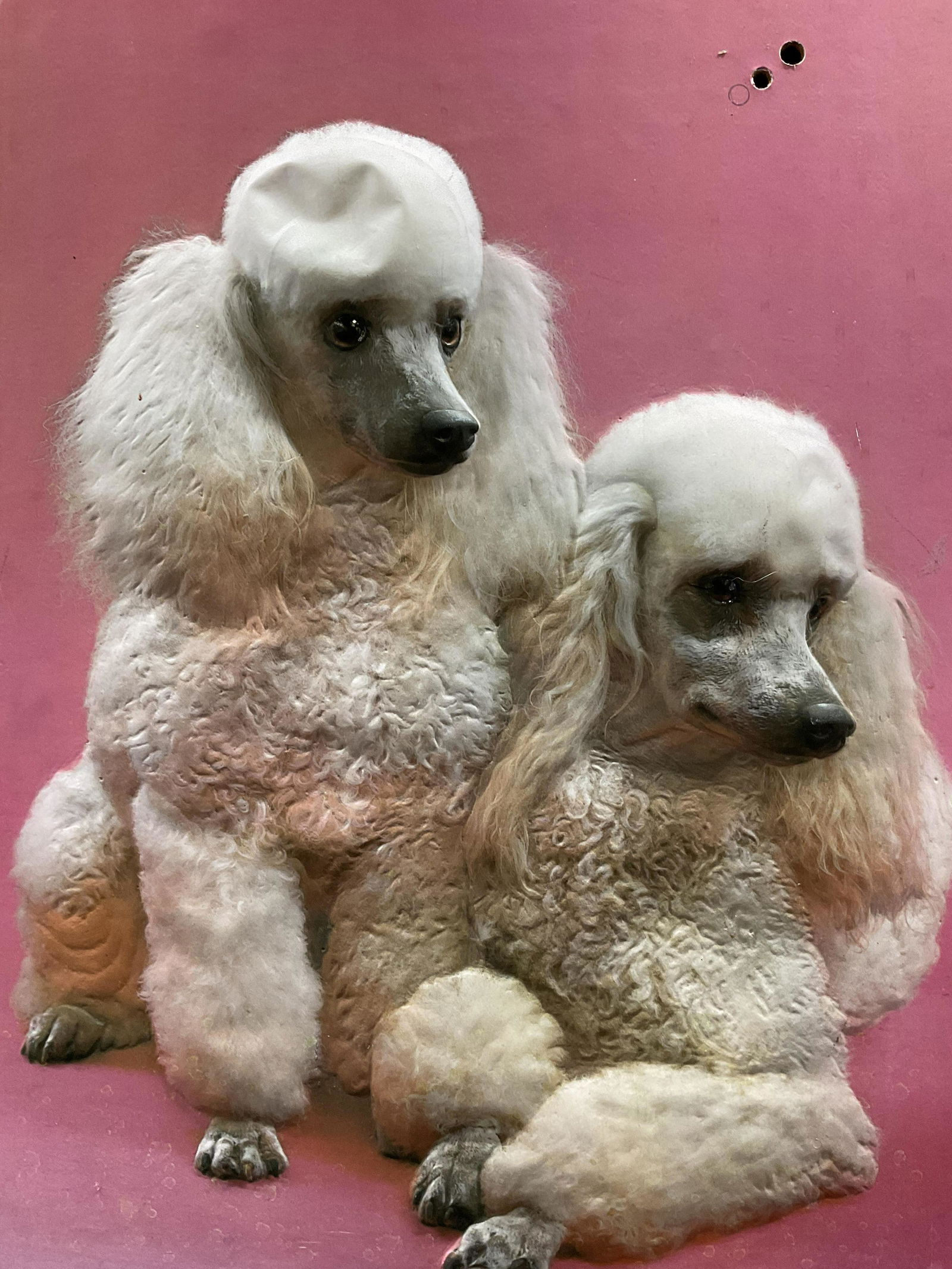 NOVA RICO 3D Poodle Artwork (1 of 6)