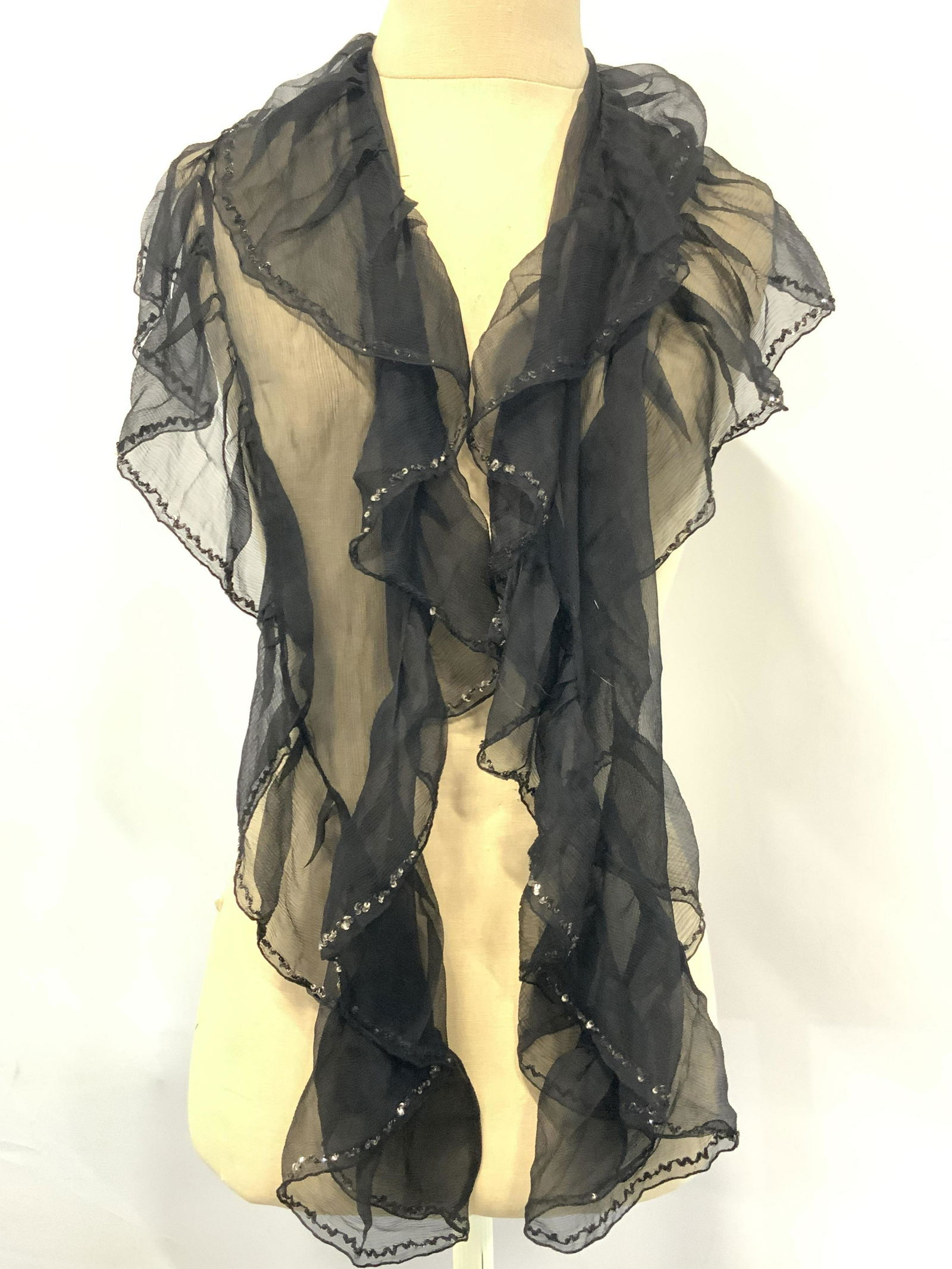 BAJRA Sheer Silk Black Accent Fashion Scarf (1 of 8)