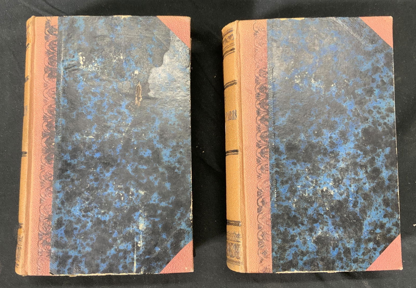 Antique The New Paris Vol. 1 & 2 French Books (1 of 5)