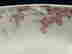 item-134653341=3