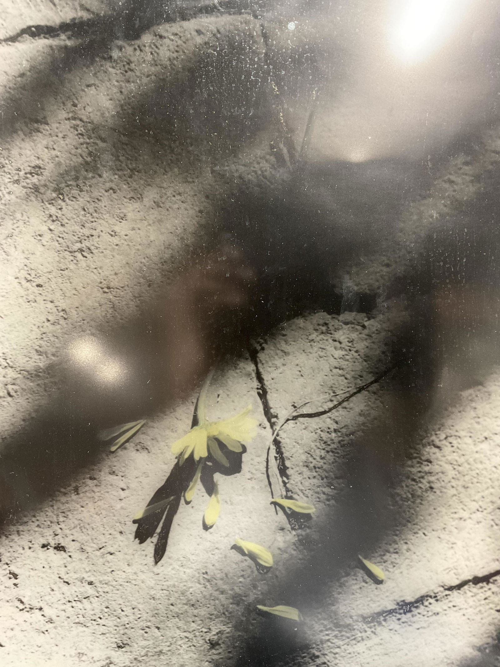 PEDRO FEJARES Signed Photograph 2001 (1 of 6)