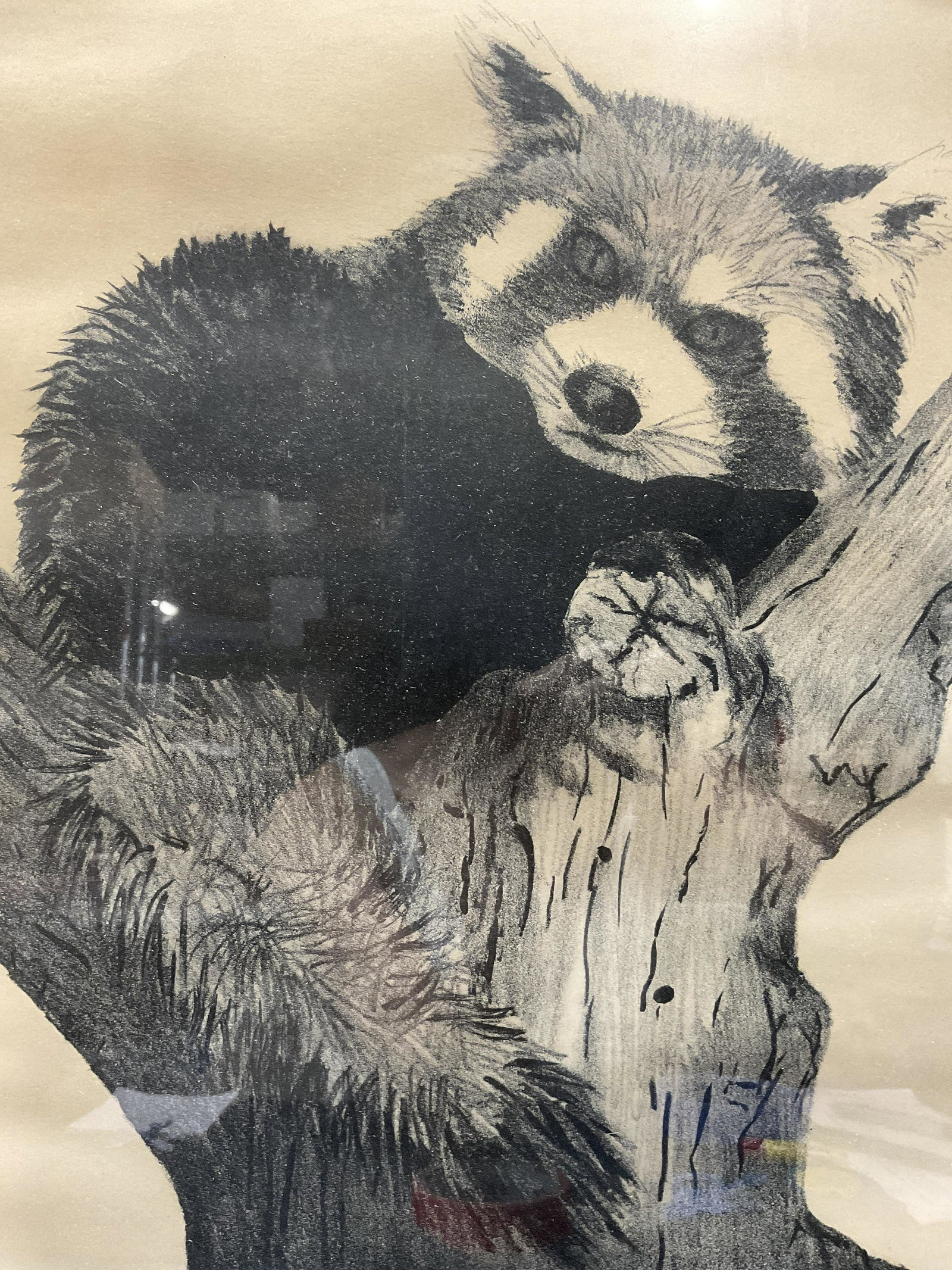 EDIE FILERTSEN Signed Lithograph: EDIE FILERTSEN Signed Lithograph, signature to lower right reads ‘Edie FILERTSEN 75’, inscriptions and edition read ‘4/25 Lithograph’, ‘The Racoon’, subject a raccoon in a tree, measures 2