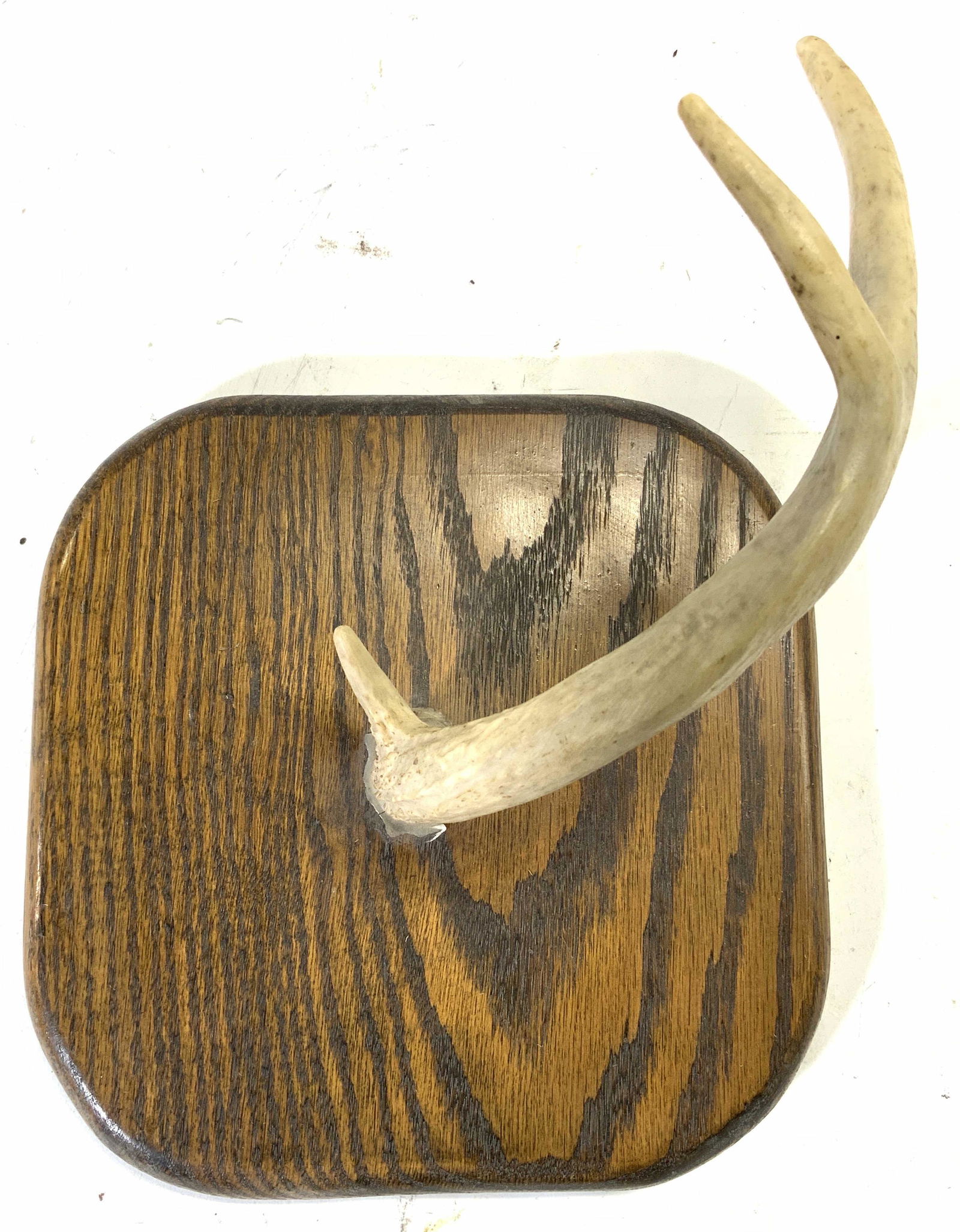 Vintage Antler Wall Hanging Mounted On Wood (1 of 8)