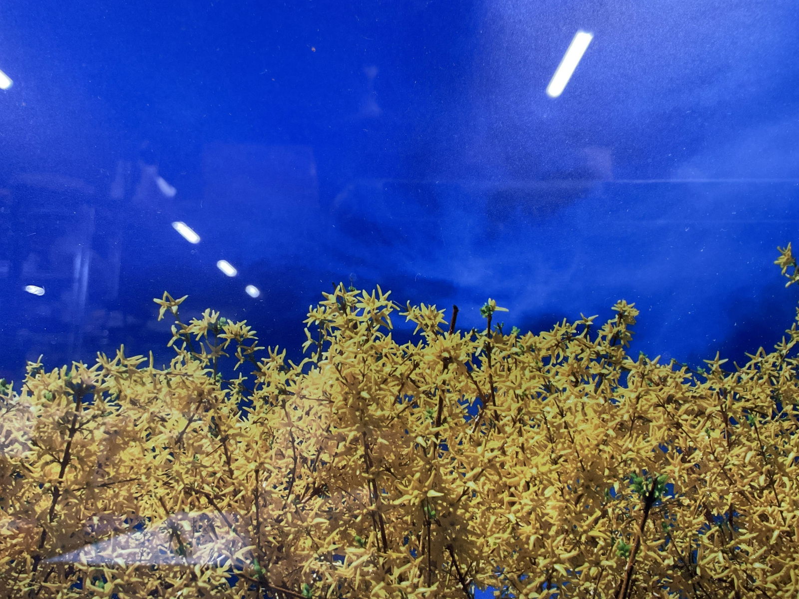 STEPHEN J DONALDSON Signed Photograph (1 of 5)