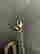 item-134901048=3