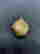 item-134901048=5