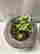item-135012722=3