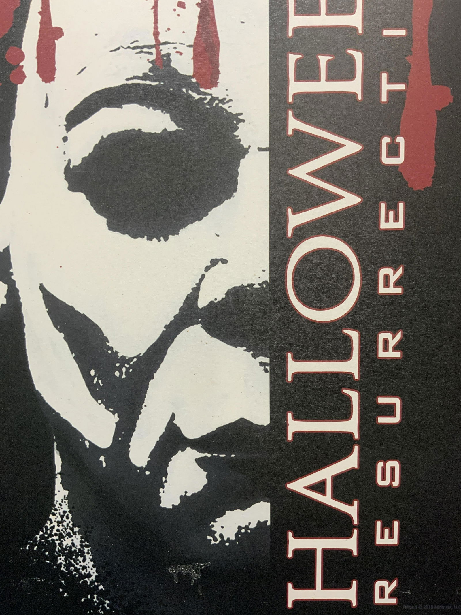 Halloween Resurrection Movie Litho. On Wood (1 of 5)