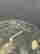 item-135012832=9