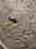 item-135159207=10