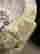 item-135159207=5