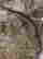 item-135159207=6