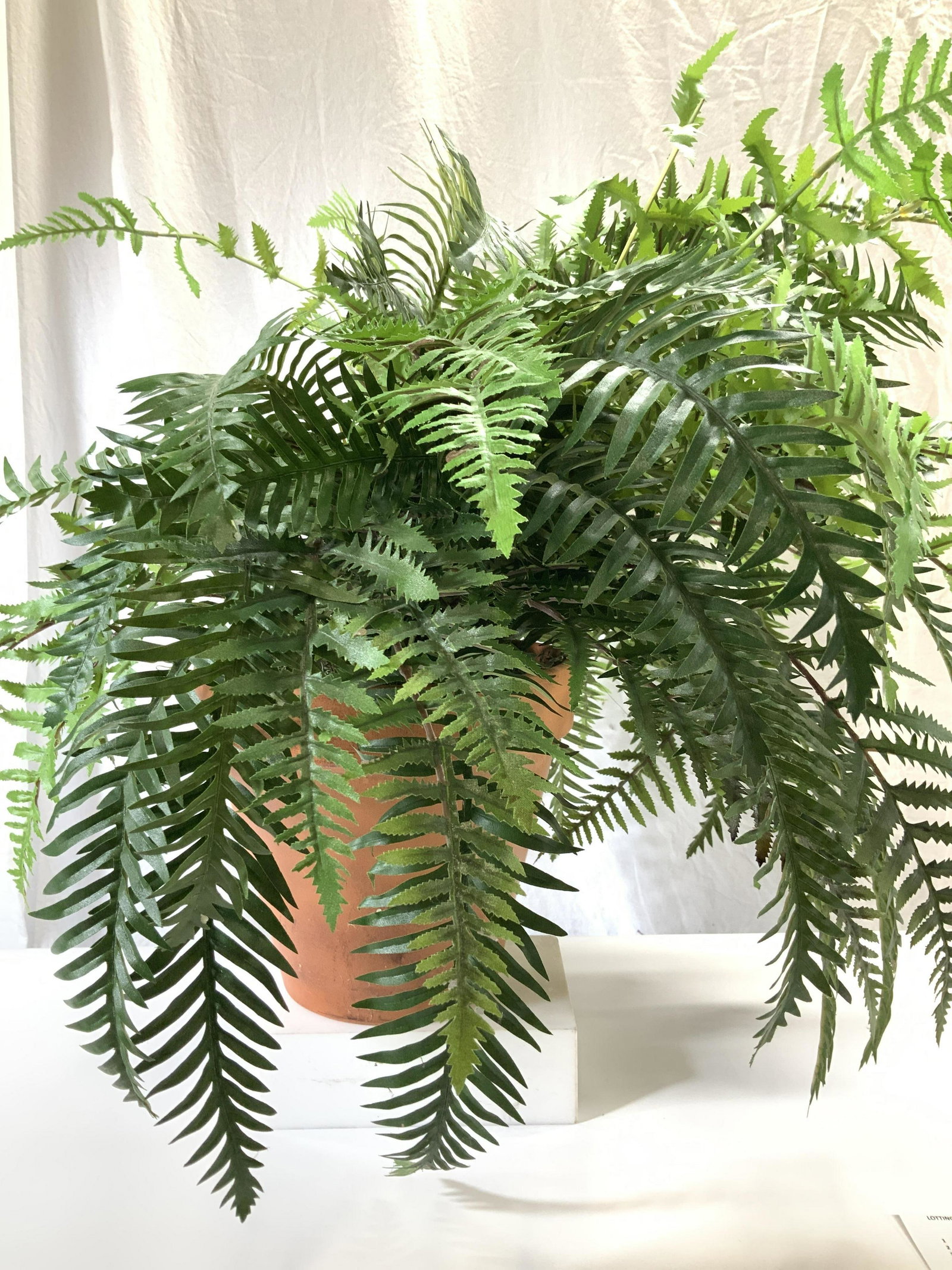 Indoor Garden Faux Fern Plant in Planter (1 of 7)