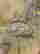 item-135408101=10