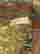 item-135408101=13