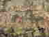 item-135408101=17