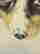 item-135925871=10