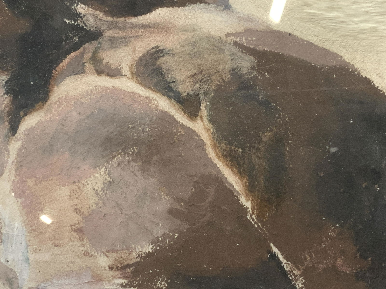 GILLIAN JAGGER Study For The Underbelly (1 of 10)