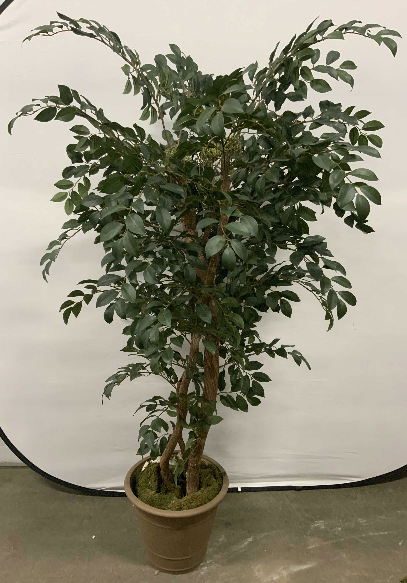 Faux Tree In Planter Home Decor XL 74inH (1 of 8)