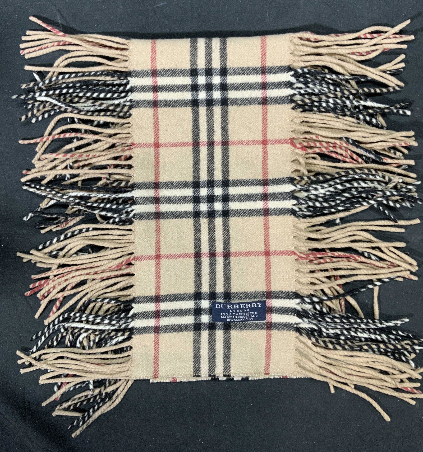 BURBERRY Nova Check Cashmere Fringe Trim Scarf (1 of 4)