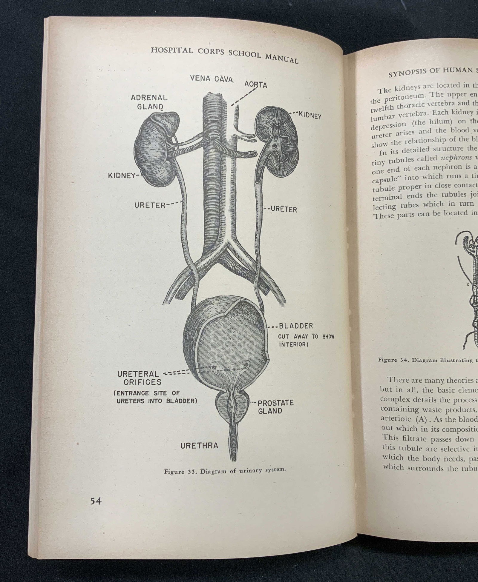1945 US Maritime Service Hospital Corps Manual (1 of 6)
