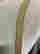 item-136401279=10