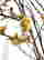 item-137117174=3