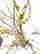 item-137117174=4