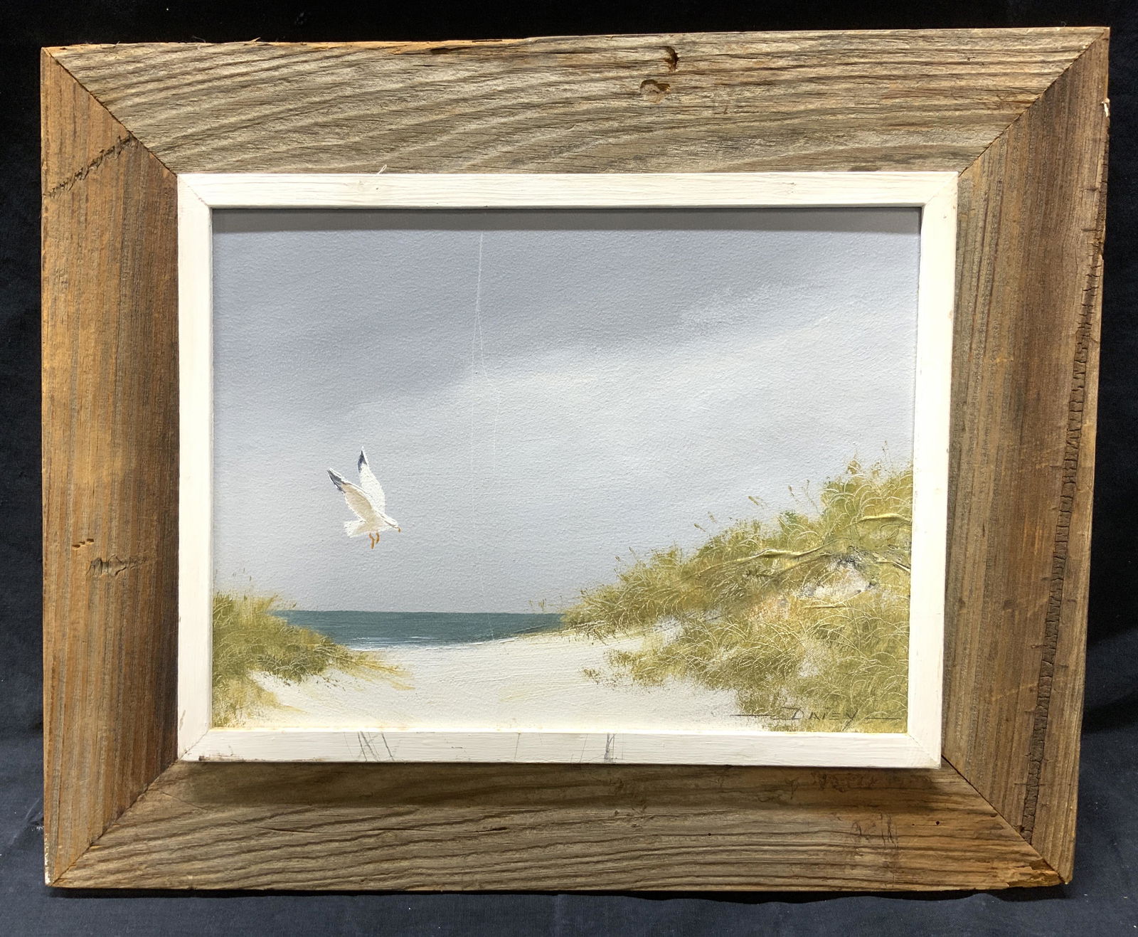 DAISY Seagull On Lightning Beach Oil On Board (1 of 5)