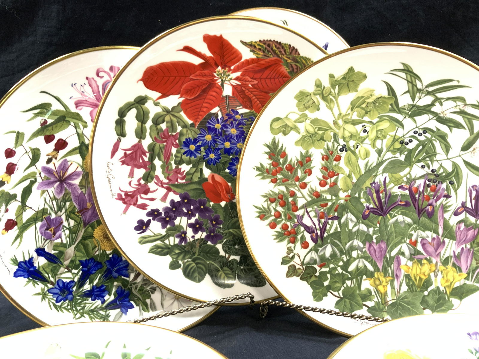 Set 12 Franklin Porcelain by Wedgwood Plates (1 of 7)