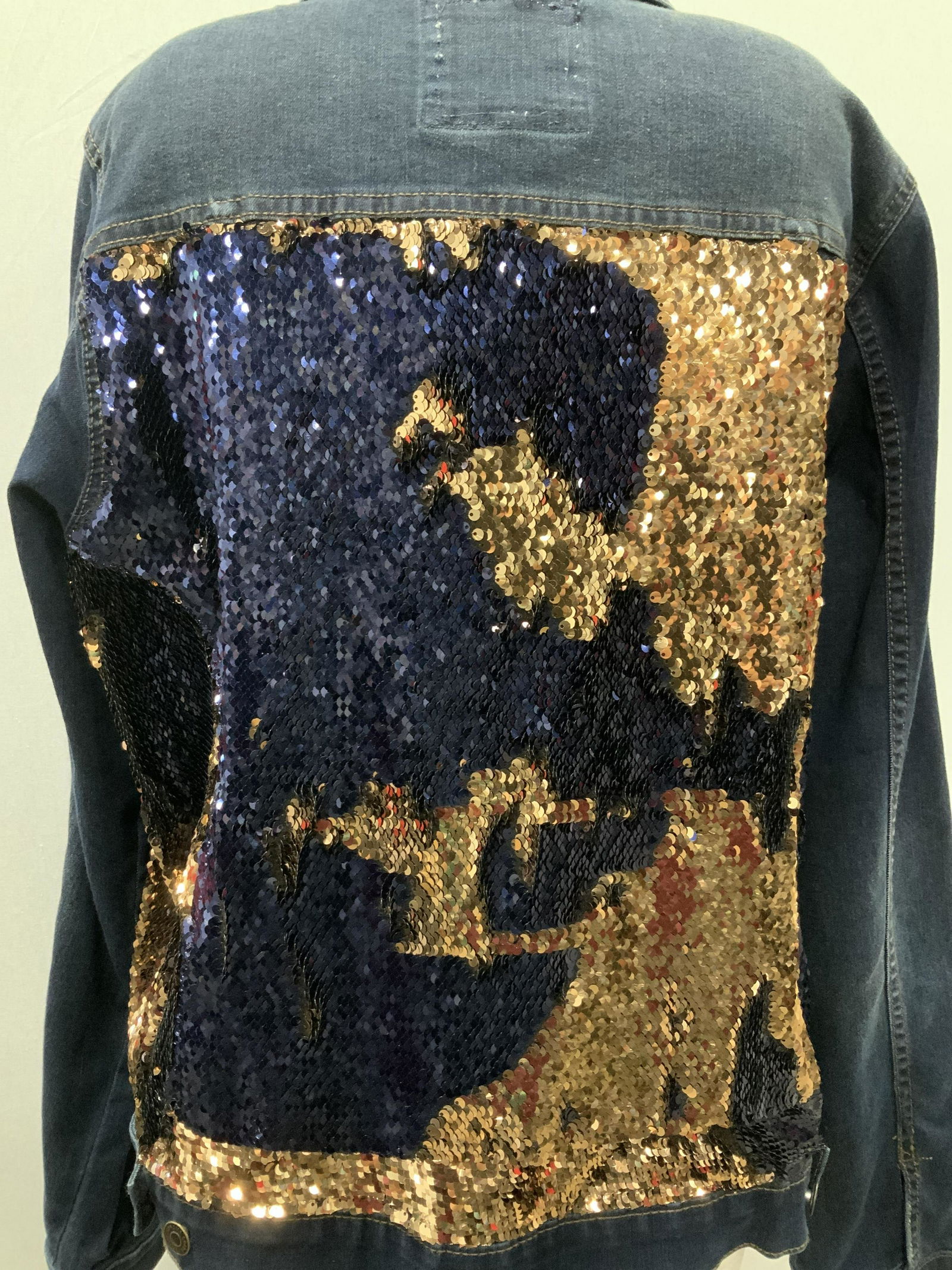 Romi Basha Jean Jacket w Backside Sequins (1 of 5)