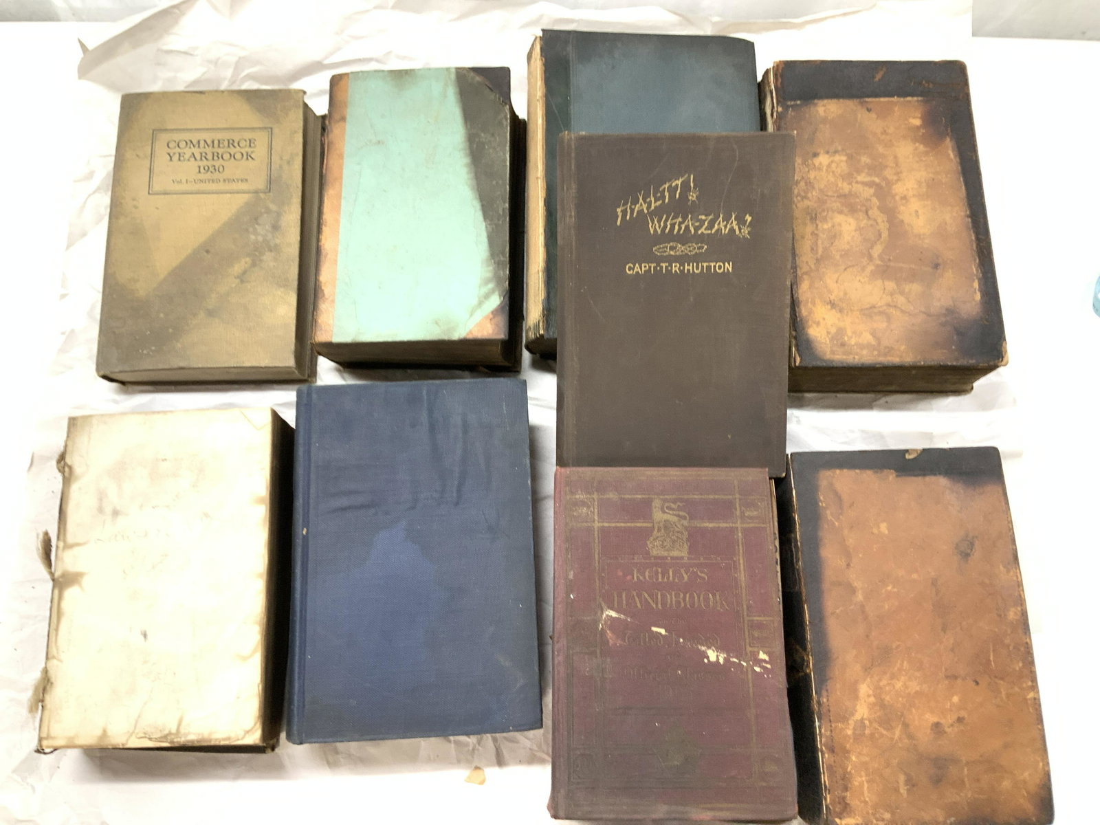Lot 9 Antique & Vintage Rare Books: Antique and Vintage Rare Books mostly dealing with the laws and Supreme Court of New York States, including Geology , Geography and general history of NYS. One books content is on the provisional and