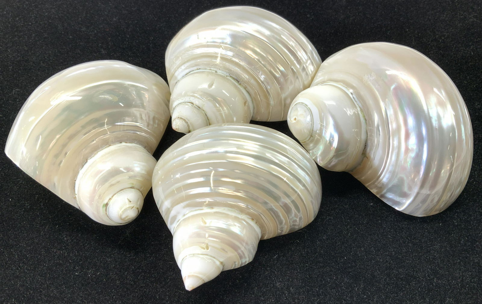Set 4 Mother of Pearl Snail Shell Napkin Rings (1 of 4)