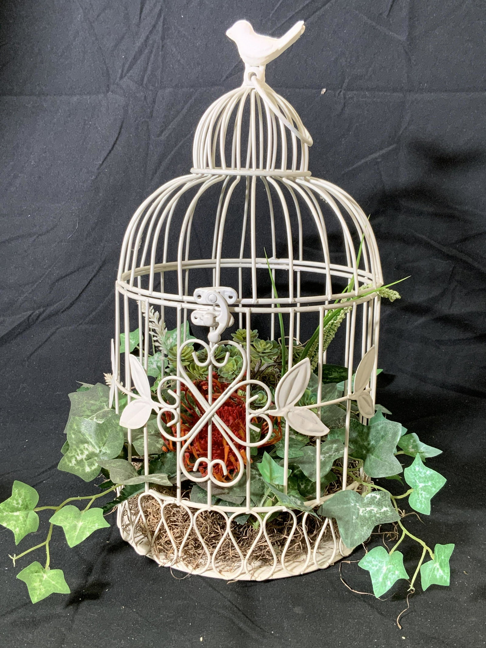 WiFre Bird Cage W aux Botanicals: White wire birdcage with bird Figural finial and hanging ring. Butterfly, Lilly of the valley, succulents and Ivy sit on a dense raffia. Cage opens from top and locks closed. 15.5 in ht, 8 in wide. 3 