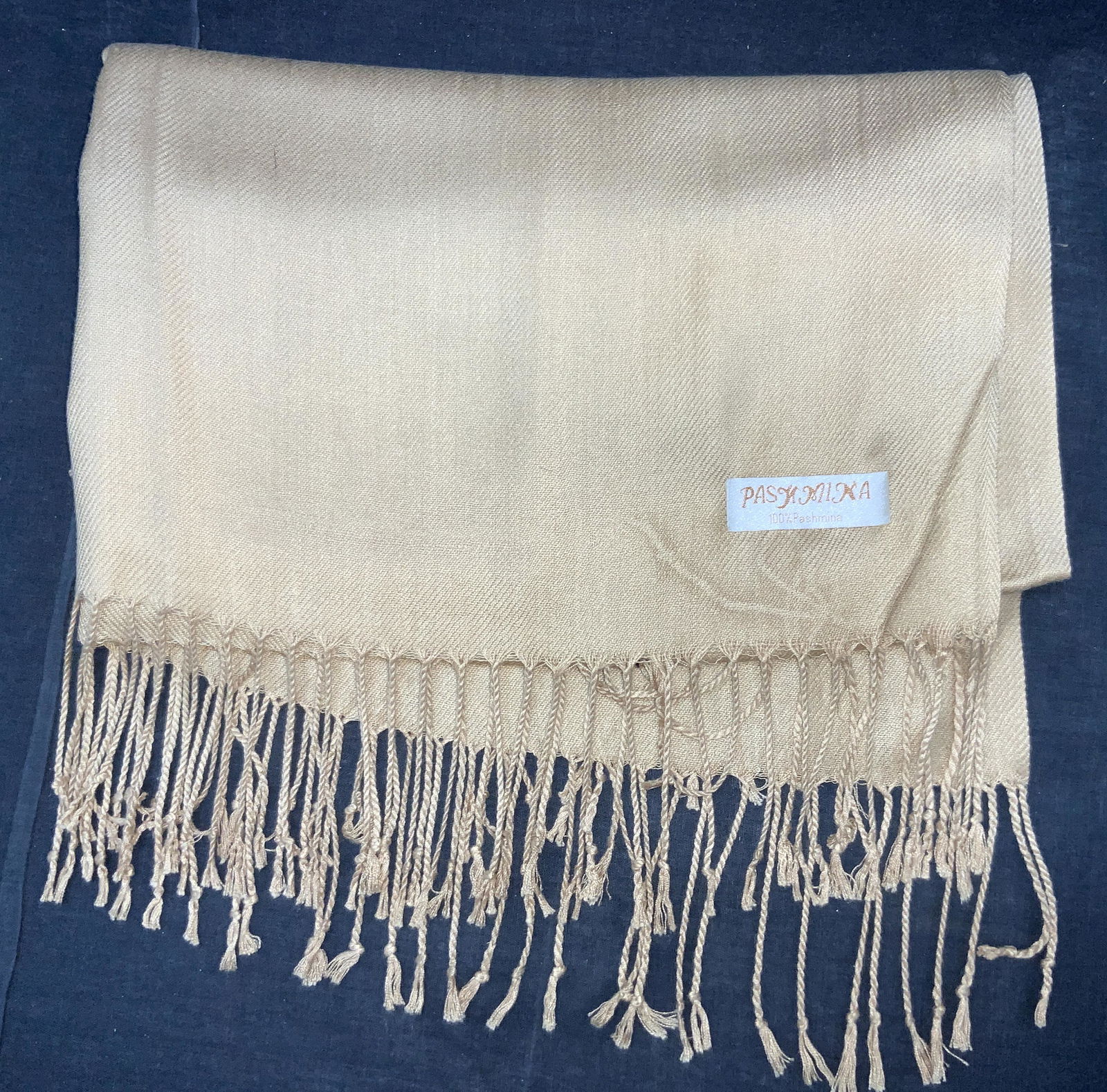 Sand Toned Fringed PASHMINA Scarf (1 of 8)
