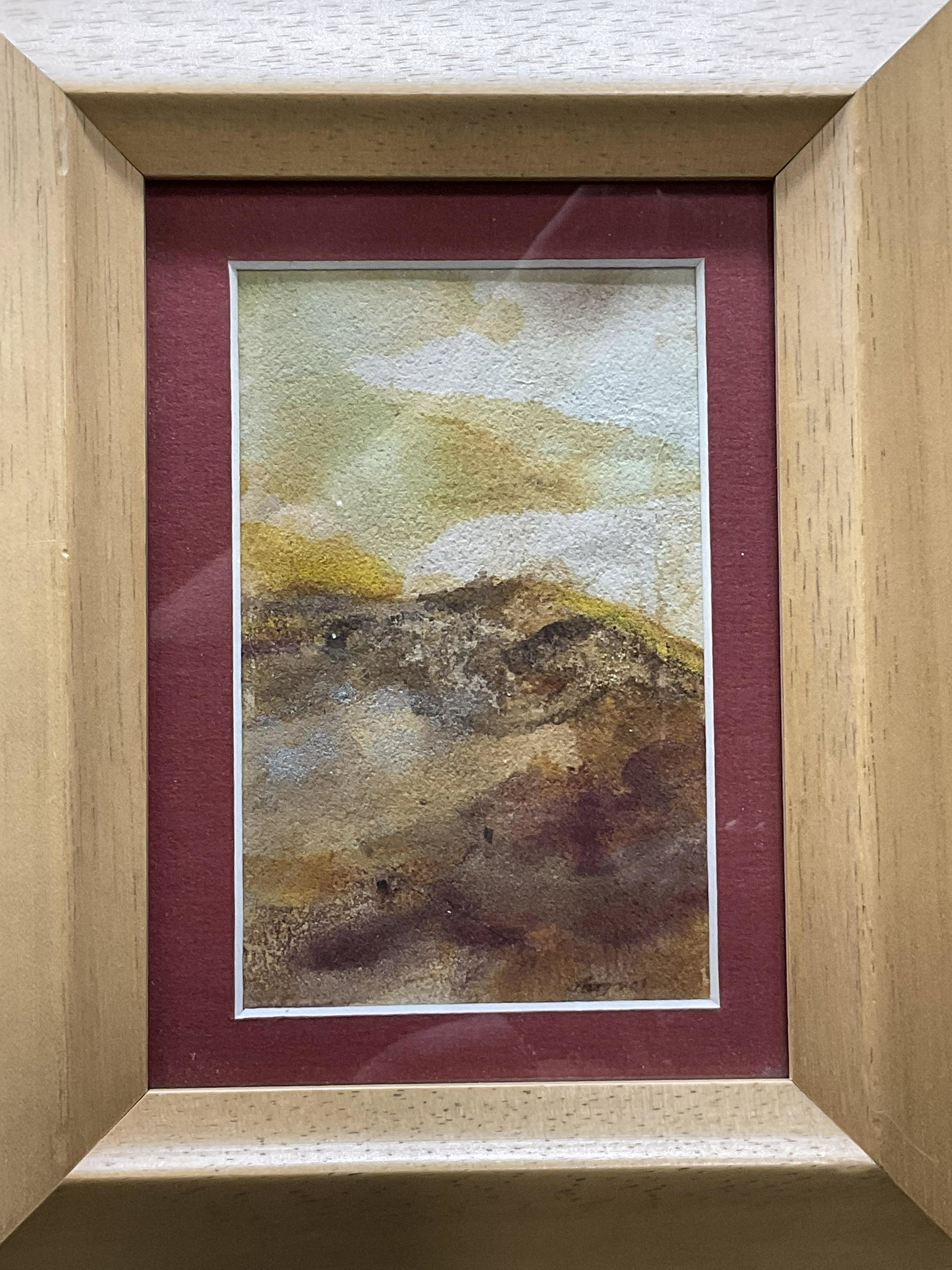 FR Plant Dyes on Handmade Paper, SGD  J. Morgan (1 of 6)