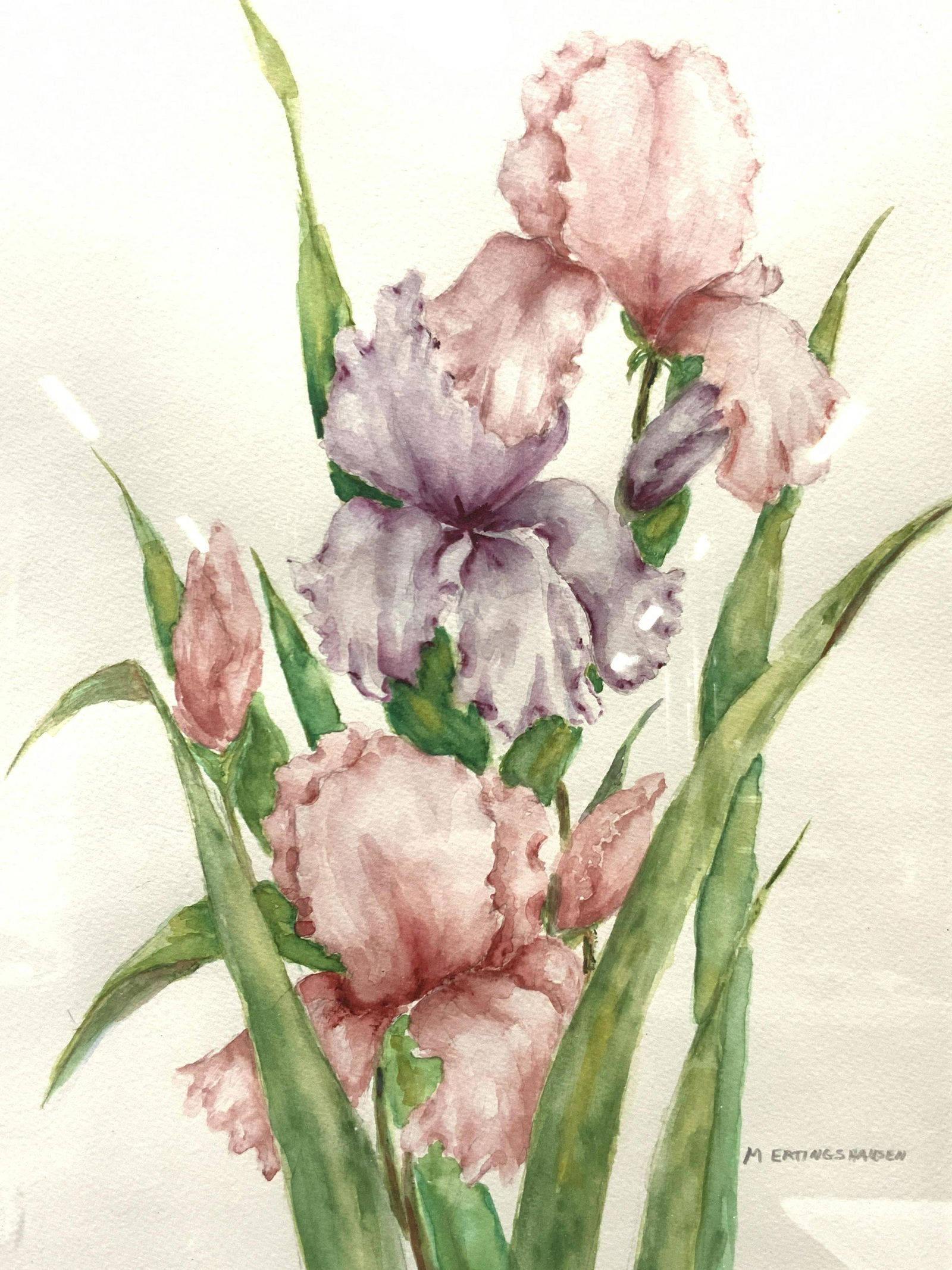 M.Ertingshausen Signed Framed Floral Watercolor (1 of 9)