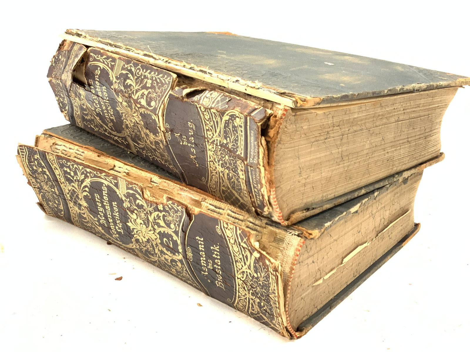 Antique Meyers Konverfations Lexicon Vol 1 & 3 (1 of 11)