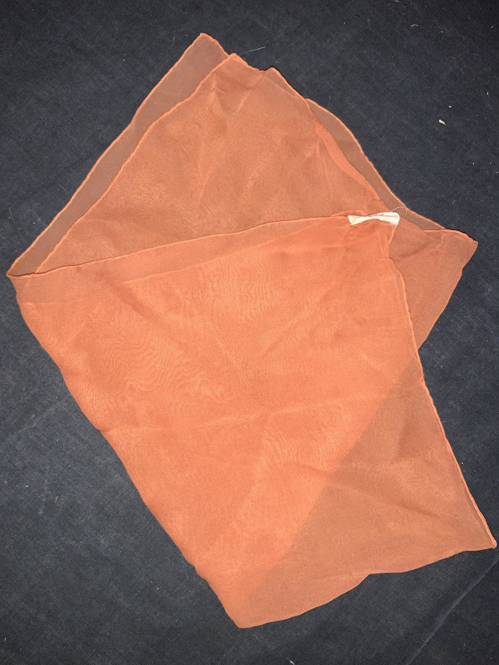 Saks Fifth Avenue Hand Rolled Silk Handkerchief (1 of 6)