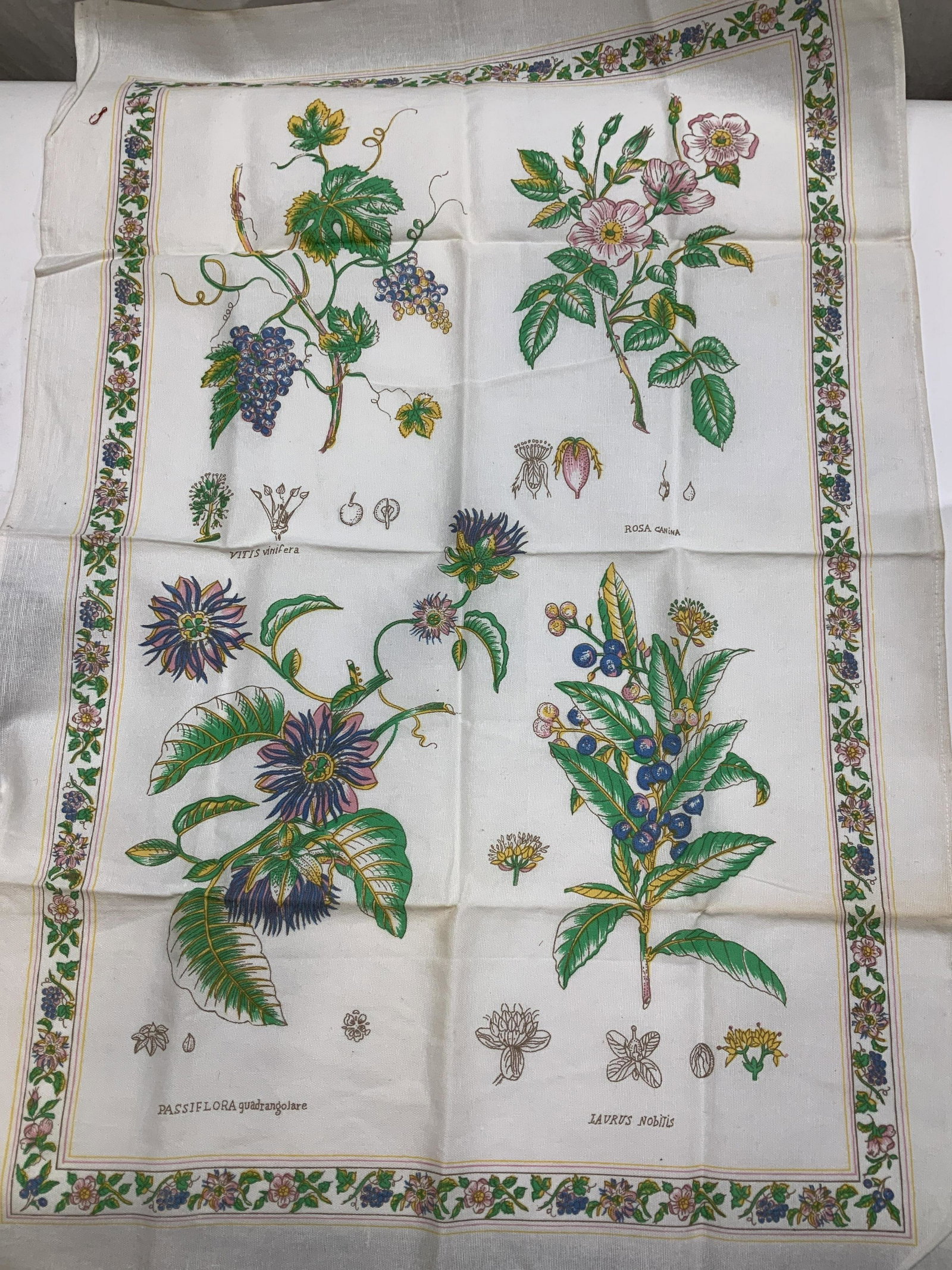 Set 7 Applique Napkins, Linen Botanical Hand Towel: Total 8 items. Colorful Botanicals with scientific names on cream toned linen towel , 23 x 34 in. Set of 7 white cotton / percale napkins with corner applique flower and stitched edge. 15 x 15 in. Som