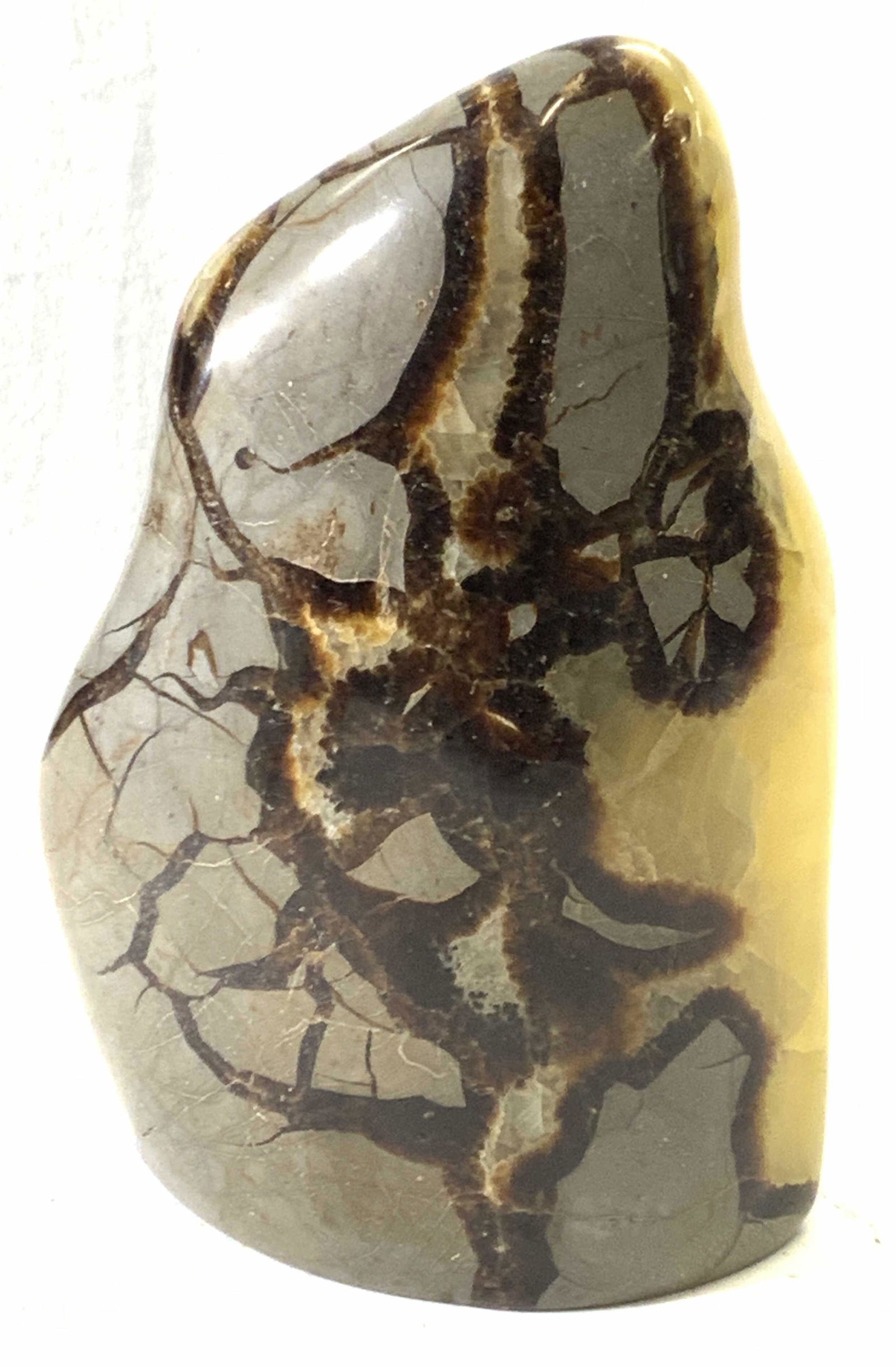 Yellow Septarian Dragon Stone Specimen (1 of 8)