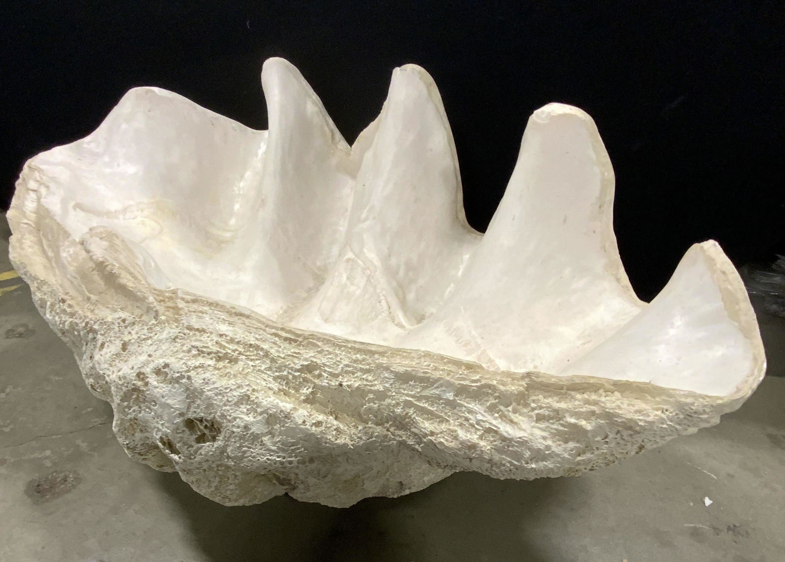 Vintage XL Oversized Faux Clamshell (1 of 13)