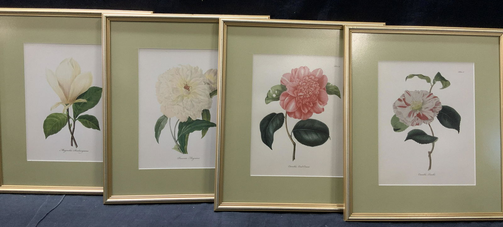 4 Framed White & Pink Botanical Lithographs (1 of 11)